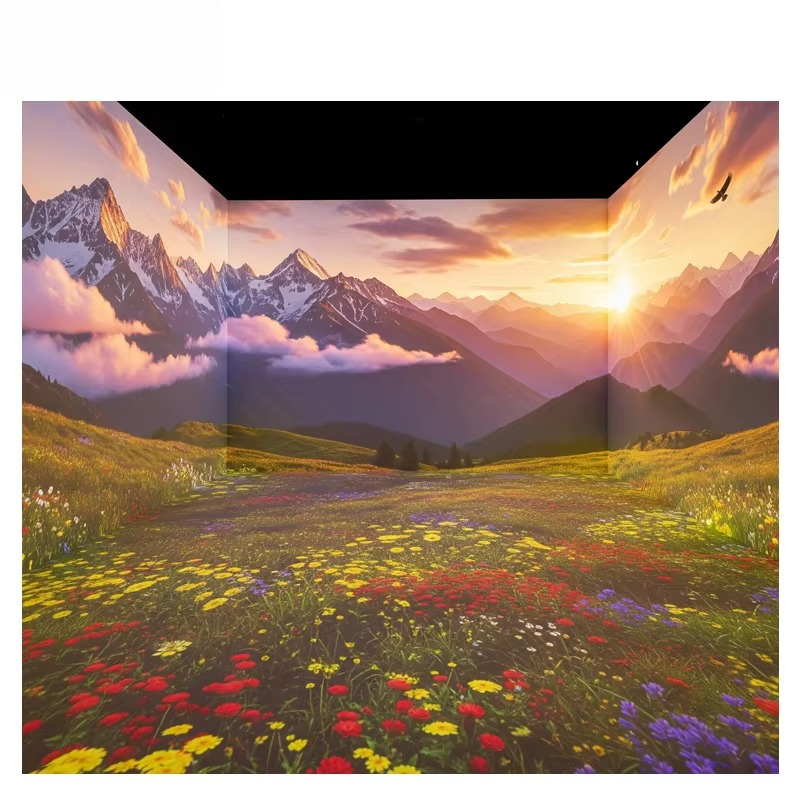 OEM&ODM Immersive Projector La - Gymnastics Beam Floor review and price