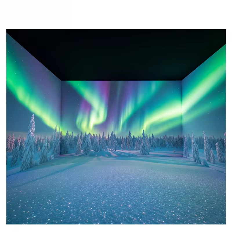 OEM&ODM Immersive Projector La - Gymnastics Beam Floor review and price