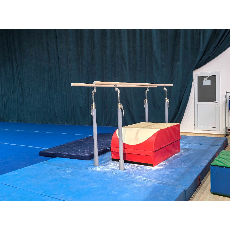 Professional gymnastics equipm - Gymnastics Beam Floor review and price